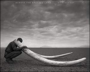 Across The Ravaged Land - Nick Brandt