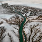 Colorado River Delta #2 - Near San Felipe, Baja, Mexico, 2011 - Edward Burtynsky