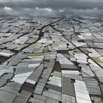 Greenhouses - Almira Peninsula, Spain, 2010 - Edward Burtynsky